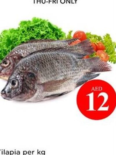 Tilapia per kg