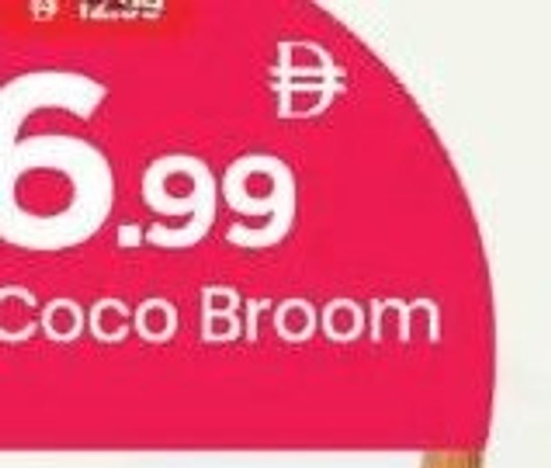 Coco Broom