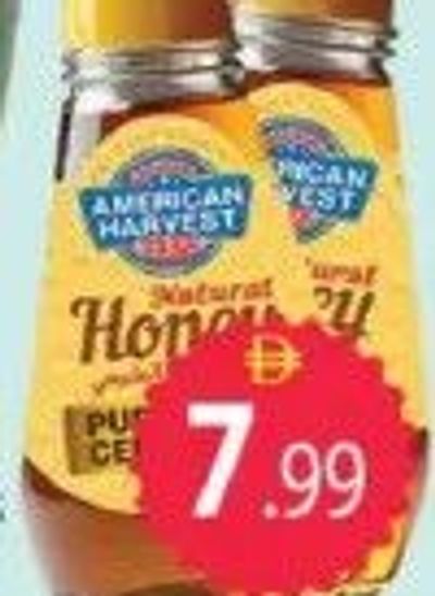 A/H Honey Squeezy 400gm