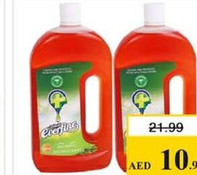 Everfine Antiseptic 2X750ml