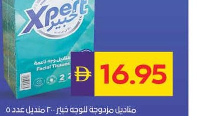 Xpert Facial Tissue 2 Ply 200 Sheets x 5pcs