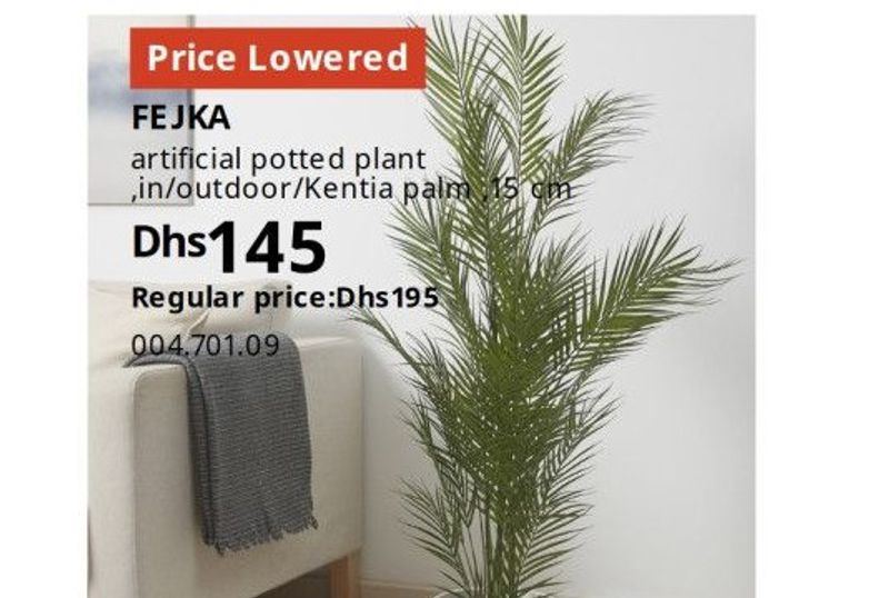 FEJKA artificial potted plant, in/outdoor/Kentia palm, 45 cm