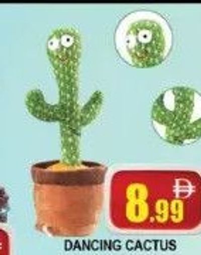 Dancing Cactus