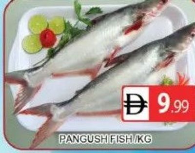 Pangush Fish /KG