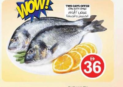 Seabream Big Per Kg