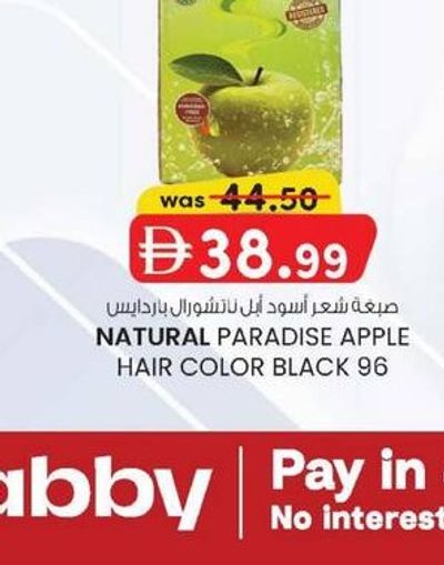 NATURAL PARADISE APPLE HAIR COLOR BLACK 96