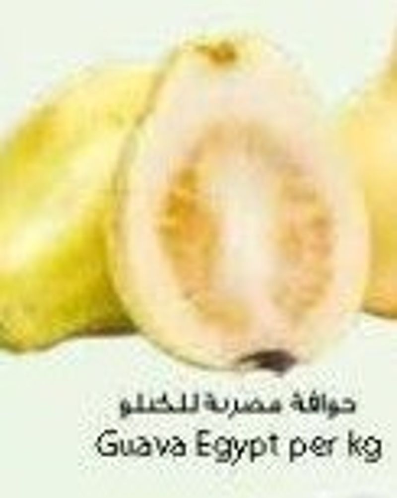 Guava Egypt per kg