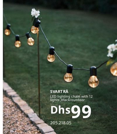 SVART RÅ LED lighting chain with 12 lights, black/outdoor