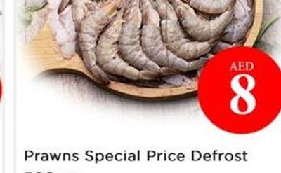 BB Chocolate Muffins 6's