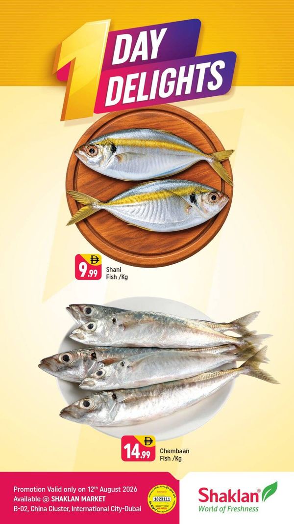One Day Delights