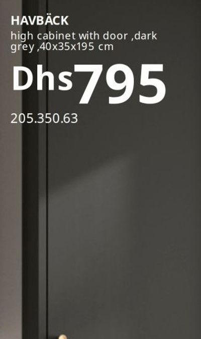 HAVBÄCK high cabinet with door, dark grey, 40x35x195 cm