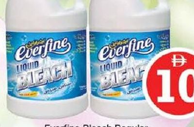 Everfine Bleach Regular 2x1Gal