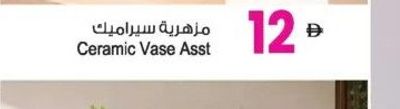 Ceramic Vase Asst