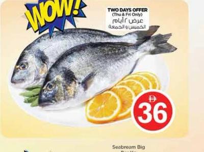 Seabream Big Per Kg