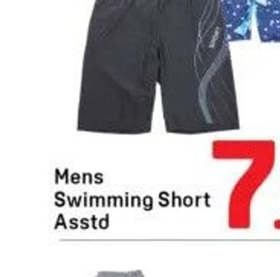 Mens Swimming Short Asstd
