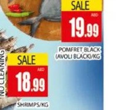 Pomfret Black (Avoli Black)/KG