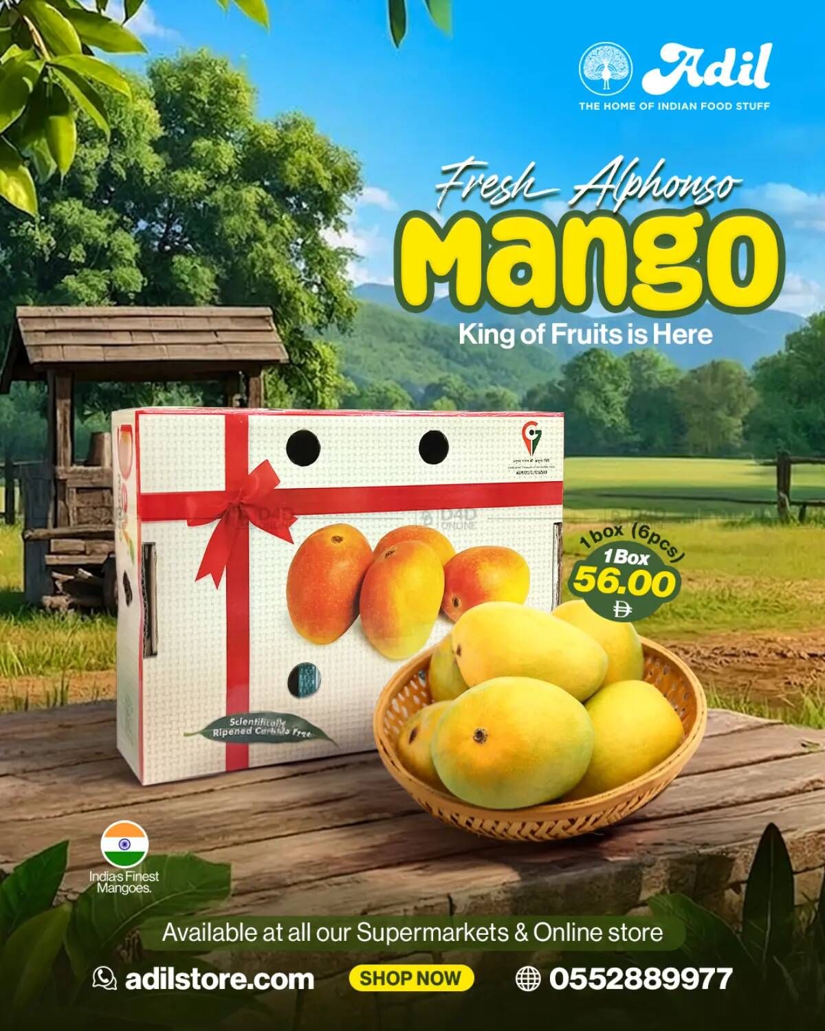 Fresh Alphonso Mango from Al Adil until 14th April