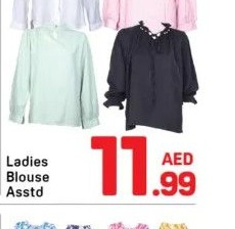 Ladies Blouse Asstd