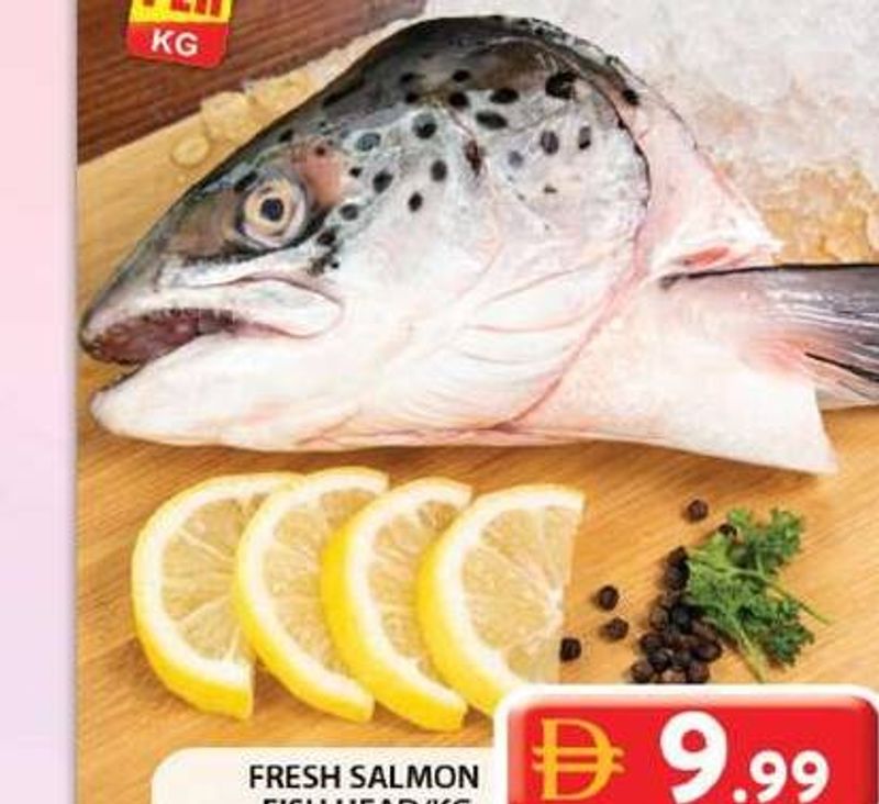 Fresh Salmon Fish Head /KG