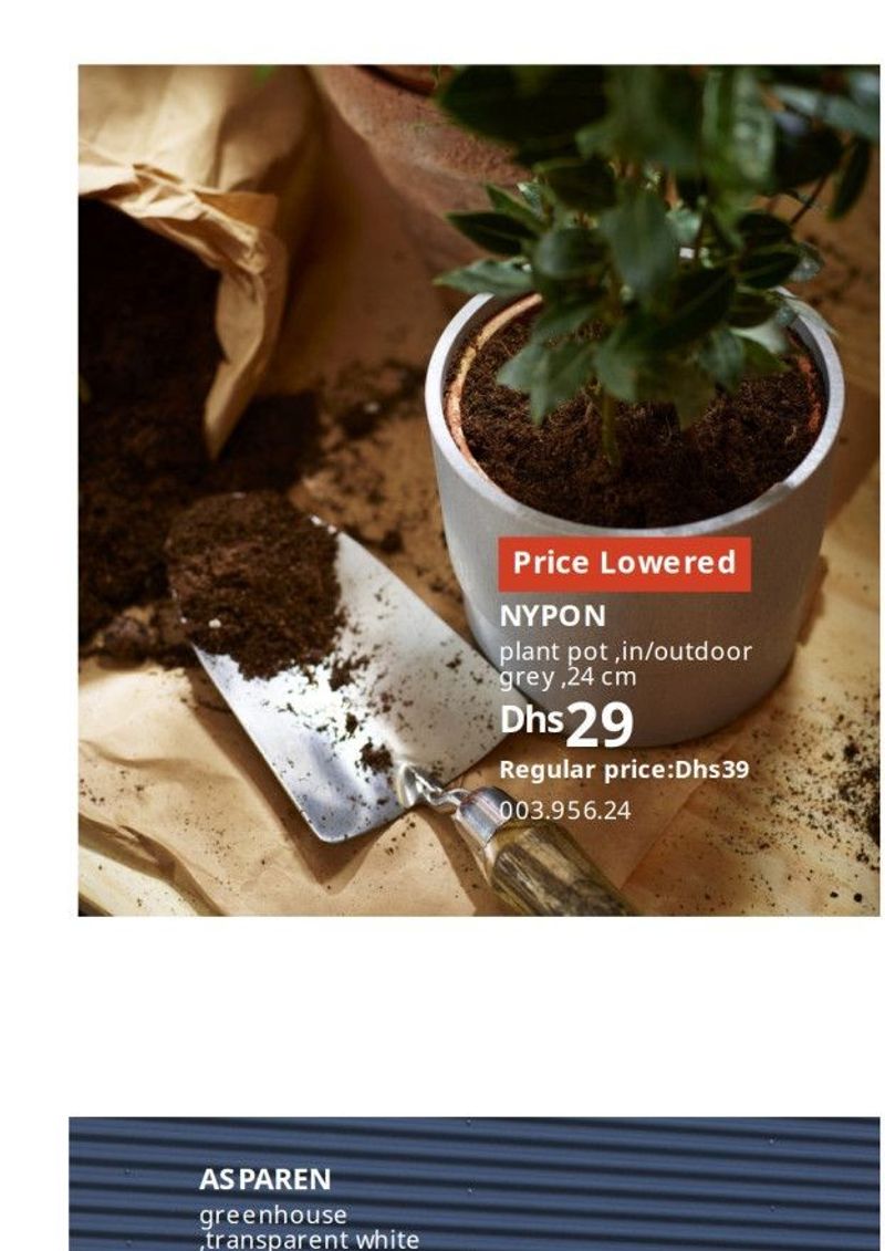 NYPON plant pot, in/outdoor, grey, 24 cm