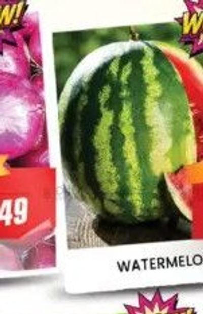 WATERMELON/KG