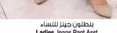 Ladies Jeans Pant Asst