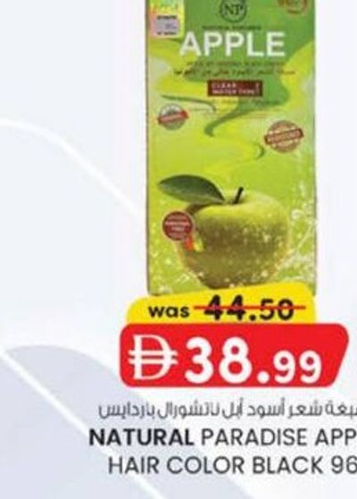 NATURAL PARADISE APPLE HAIR COLOR BLACK 96