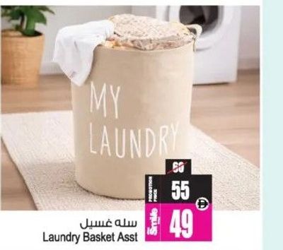 Laundry Basket Asst