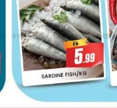 SARDINE FISH/KG