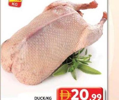 Duck /KG