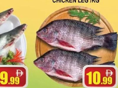 Tilapia /KG