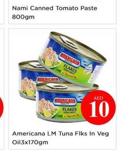 Nami Canned Tomato Paste 800gm