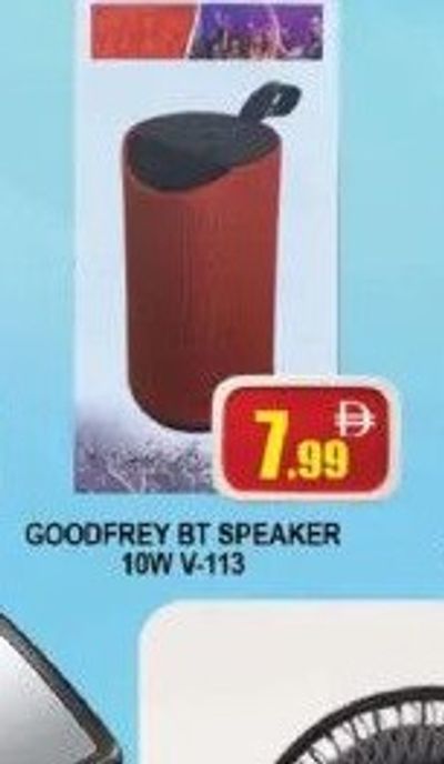 Godfrey BT Speaker 10W V-113