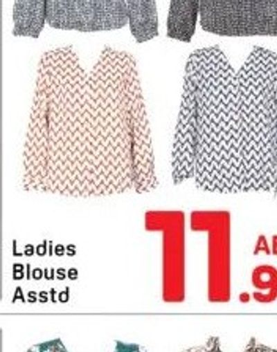 Ladies Blouse Asstd