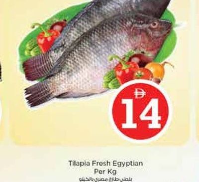 Tilapia Fresh Egyptian Per Kg