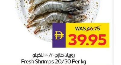 Fresh Shrimps 20/30 Per Kg