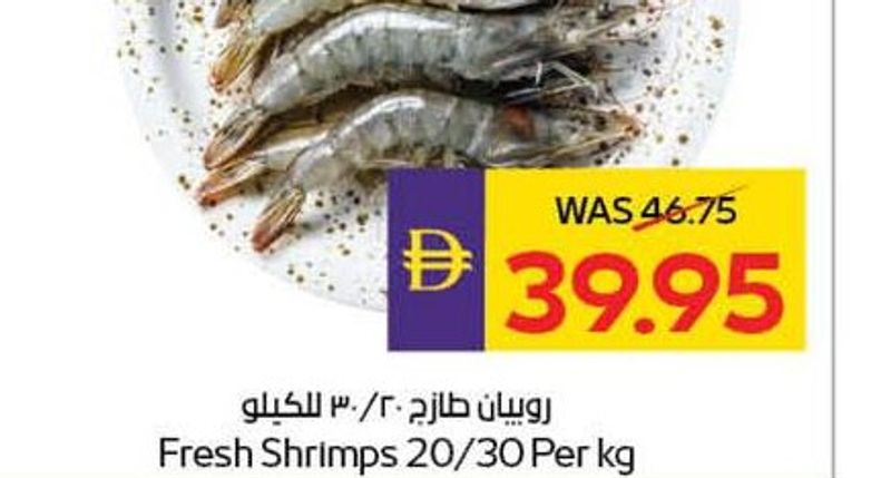 Fresh Shrimps 20/30 Per Kg