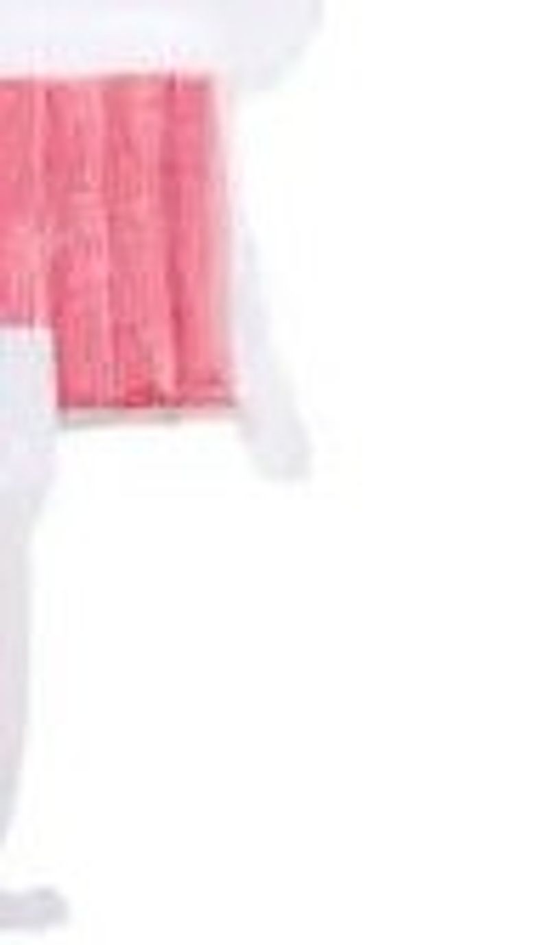 Frozen Imitation Crab Sticks 1x250gm