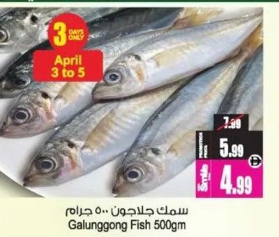 Galunggong Fish 500gm