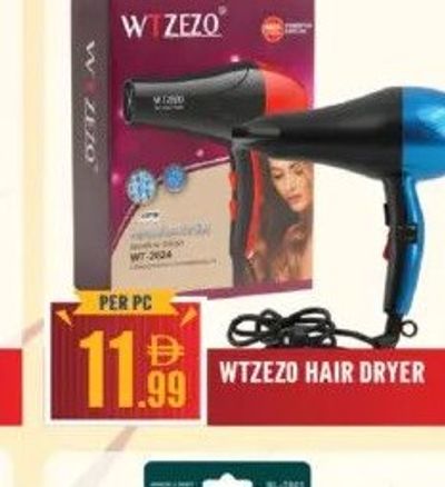 WTZEZO HAIR DRYER