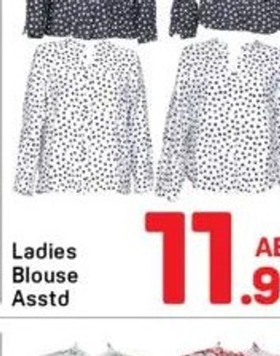 Ladies Blouse Asstd