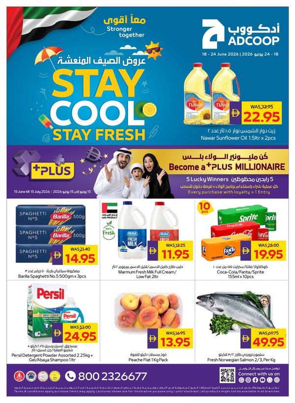 Stay Cool & Stay Fresh