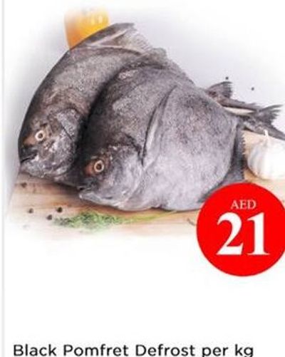 Black Pomfret Defrost per kg