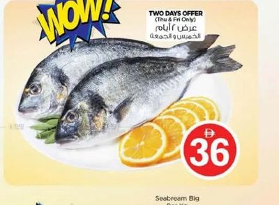 Seabream Big Per Kg