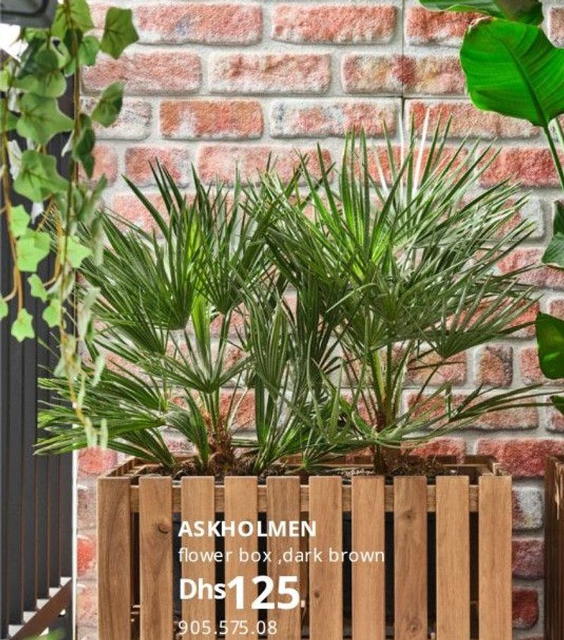 ASKHOLMEN flower box, dark brown