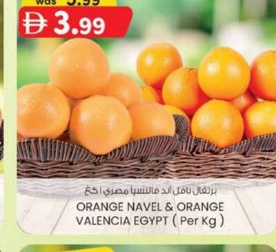 ORANGE NAVEL & ORANGE VALENCIA EGYPT (Per Kg)