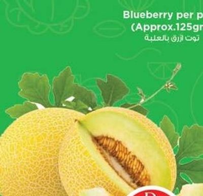 Sweet Melon India per kg