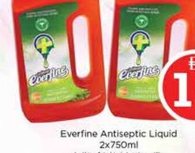 Everfine Antiseptic Liquid 2x750ml