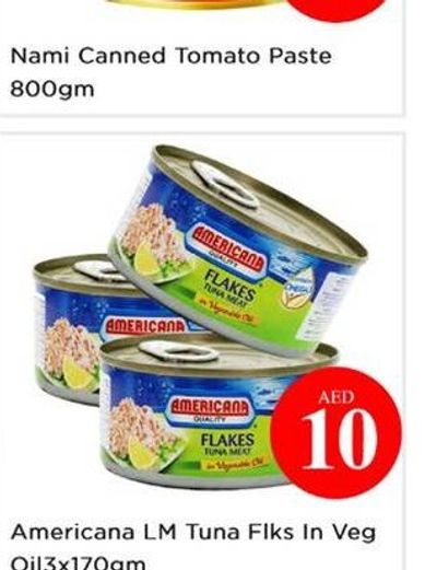 Nami Canned Tomato Paste 800gm