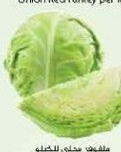 Cabbage UAE per kg